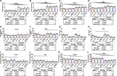 Uncovering Disease Mechanisms in a Novel Mouse Model Expressing Humanized APOEε4 and Trem2*R47H